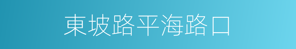 東坡路平海路口的同義詞