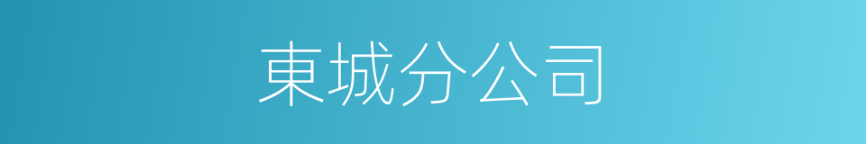 東城分公司的同義詞