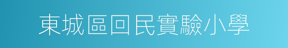 東城區回民實驗小學的同義詞