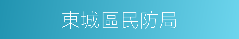 東城區民防局的同義詞
