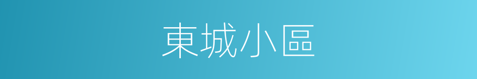 東城小區的同義詞