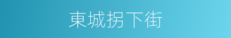 東城拐下街的同義詞