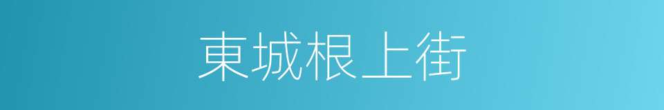 東城根上街的同義詞