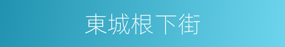 東城根下街的同義詞