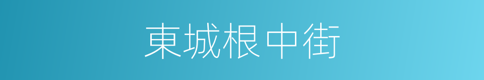 東城根中街的同義詞