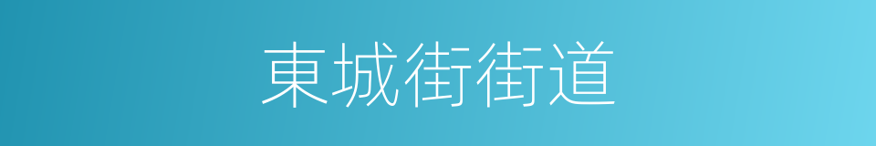 東城街街道的同義詞