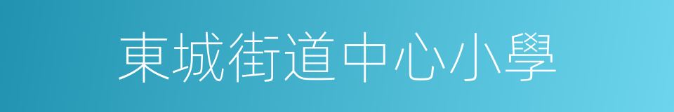 東城街道中心小學的同義詞
