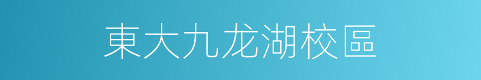 東大九龙湖校區的同義詞