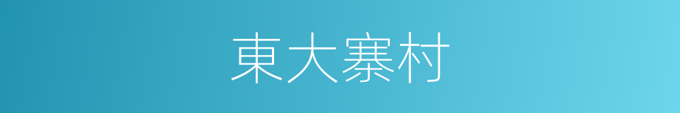東大寨村的同義詞