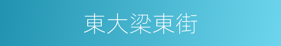 東大梁東街的同義詞