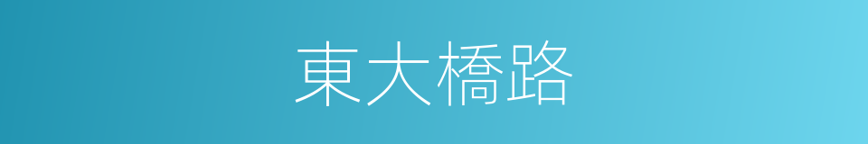 東大橋路的同義詞