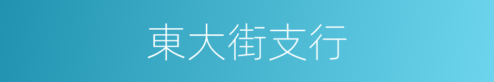 東大街支行的同義詞