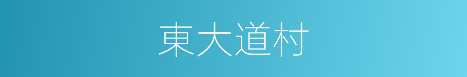東大道村的同義詞
