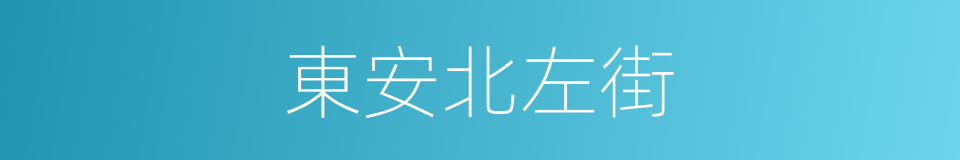 東安北左街的同義詞