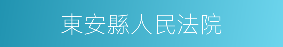 東安縣人民法院的同義詞