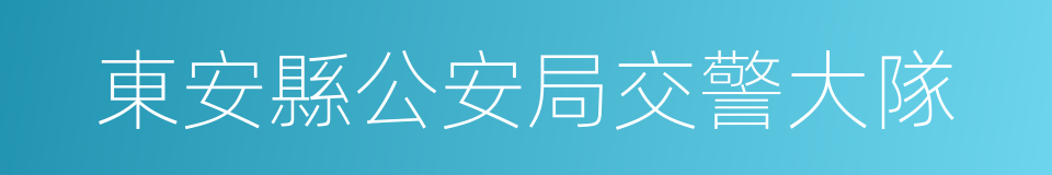 東安縣公安局交警大隊的同義詞