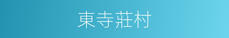 東寺莊村的同義詞