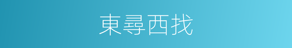 東尋西找的意思