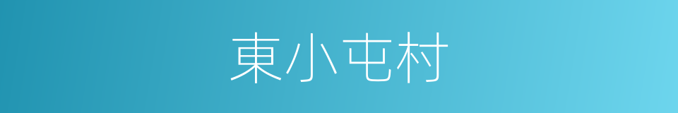 東小屯村的同義詞