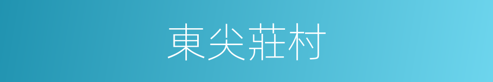 東尖莊村的同義詞