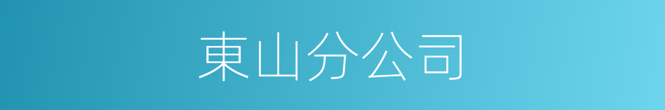 東山分公司的同義詞