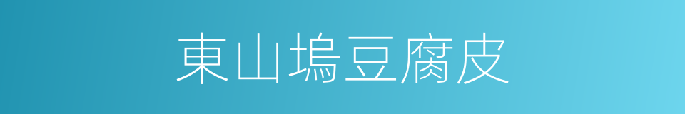 東山塢豆腐皮的同義詞