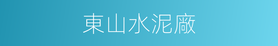 東山水泥廠的同義詞