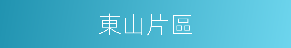 東山片區的同義詞