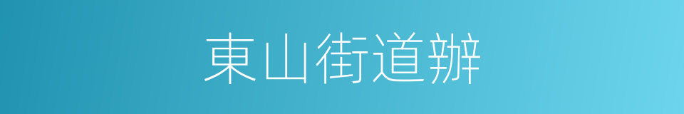 東山街道辦的同義詞