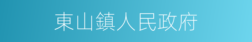 東山鎮人民政府的同義詞