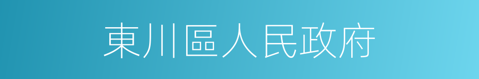 東川區人民政府的同義詞