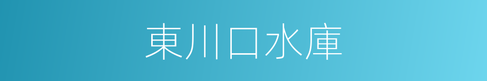 東川口水庫的同義詞