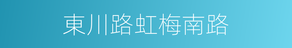 東川路虹梅南路的同義詞