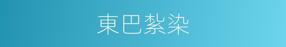 東巴紮染的同義詞