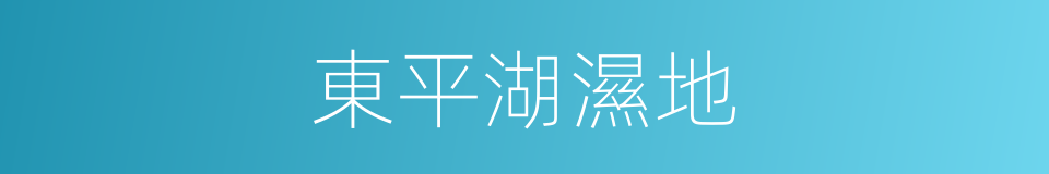東平湖濕地的同義詞