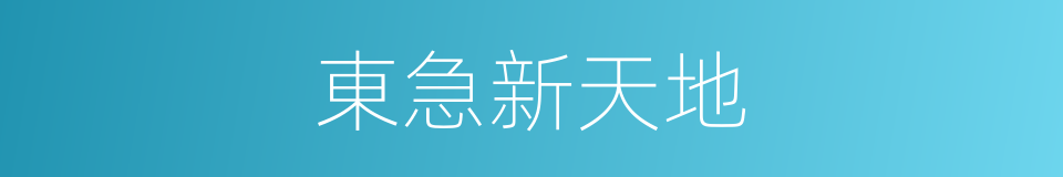 東急新天地的同義詞