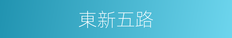 東新五路的同義詞