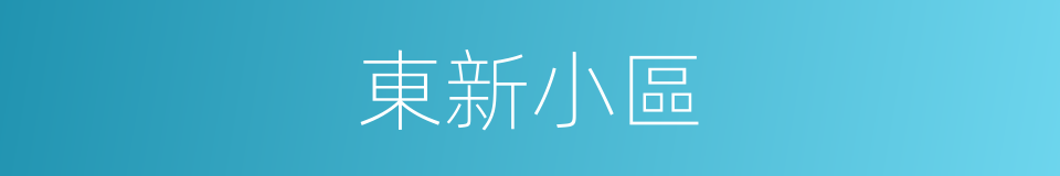東新小區的同義詞