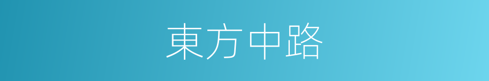 東方中路的同義詞