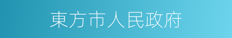 東方市人民政府的同義詞