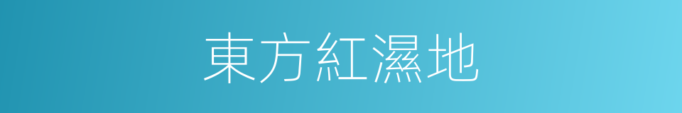 東方紅濕地的同義詞