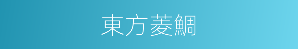 東方菱鯛的同義詞
