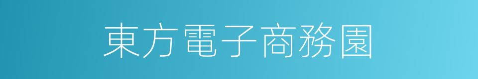 東方電子商務園的同義詞