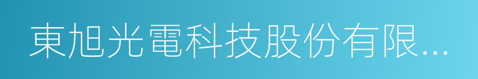 東旭光電科技股份有限公司的同義詞