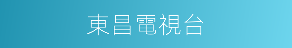 東昌電視台的同義詞