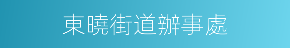 東曉街道辦事處的同義詞