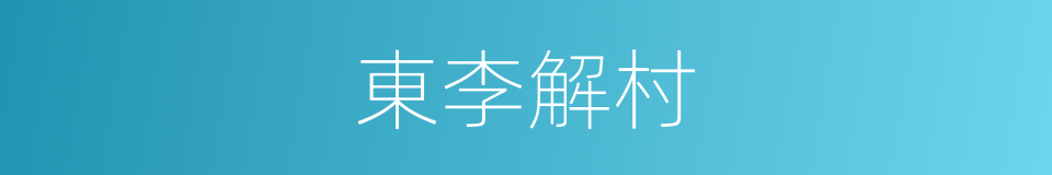 東李解村的同義詞