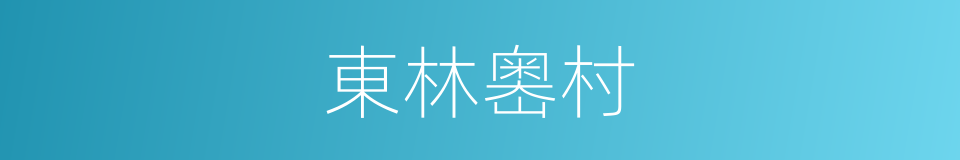 東林嶴村的同義詞