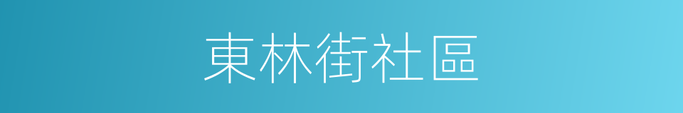 東林街社區的同義詞