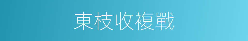 東枝收複戰的同義詞
